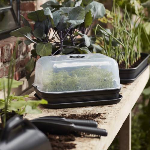 Black Mini Greenhouse - Medium - Green Basics