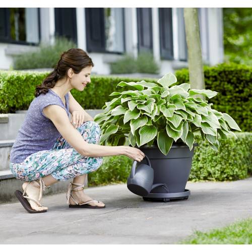Flower-pot Support with Casters - Anthracite