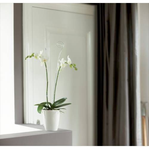 Brussels Orchid High D.12 cm - White - Elho