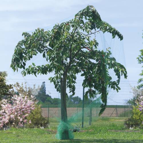 Anti birds net for fruit trees - 4x6 m