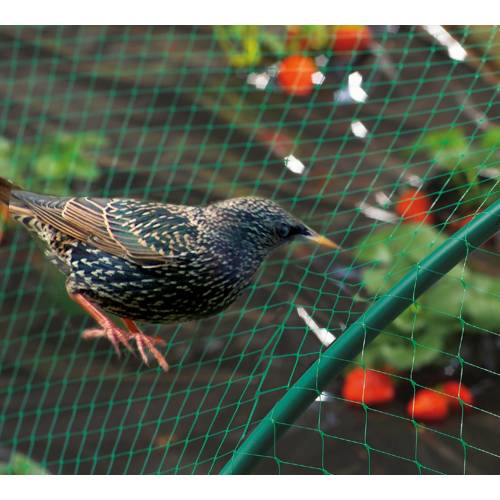 Anti birds net for vegetable garden - 2 x 5 m