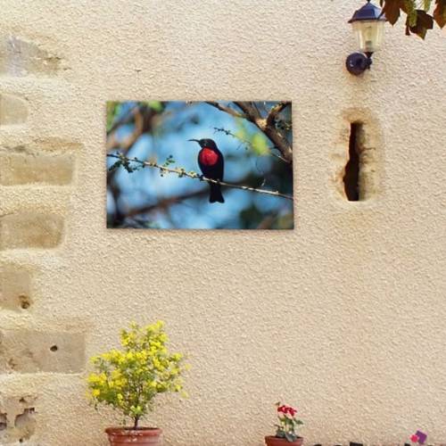 Outdoor Canvas Wall Art - Red Bird