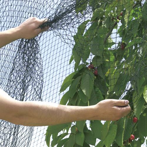 Reinforced net for fruit trees - 5x12 m