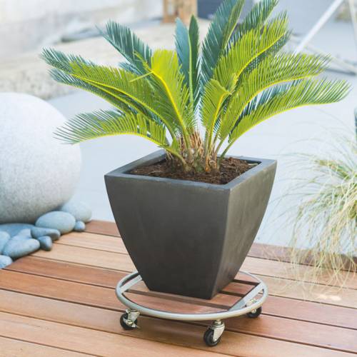Pot Stand on Wheels in Wood and Metal - D.35 cm