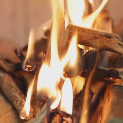 Kindling wood and fire starter - NEANDERTAL