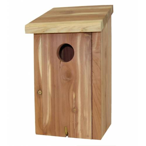 Tits Nest Box - Caillard