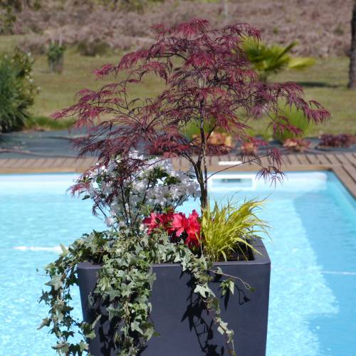 Planter Auriga - 50 x 50 x H.100 cm - Anthracite