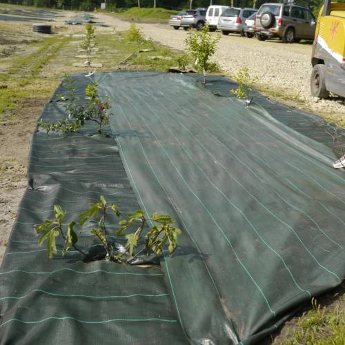 Weed Control Fabric - 1m05