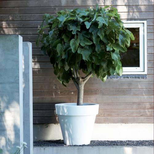 Pure Round – Di.120 cm H107 cm – Anthracite – Elho
