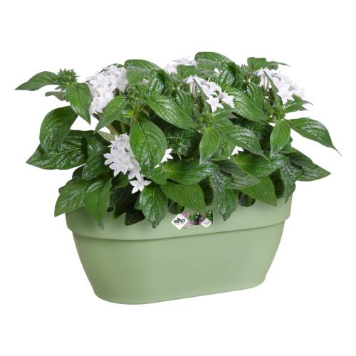 Vibia Campana Wall Basket - 35 cm -Green P. - Elho