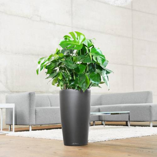 Rondo 32 - Charcoal - LECHUZA