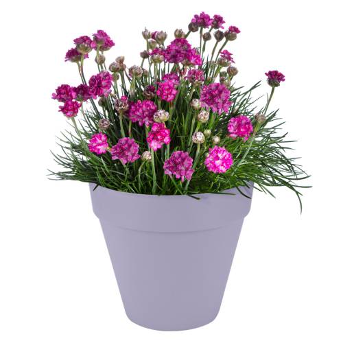 Loft Urban Round – D.40 H.35 –Lilac lavender– Elho