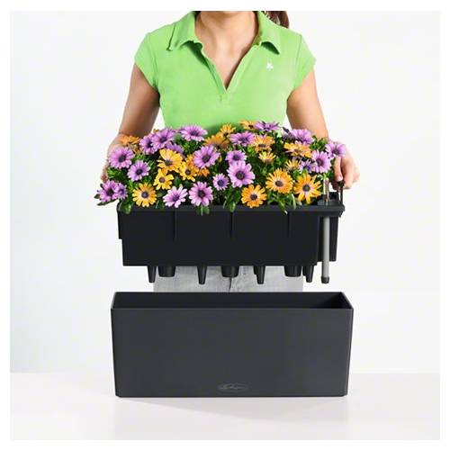 Balconera Color 50 - Pastel Green - LECHUZA