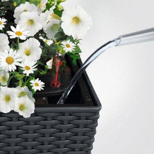 Balconera Cottage 50 - Graphite Black - LECHUZA