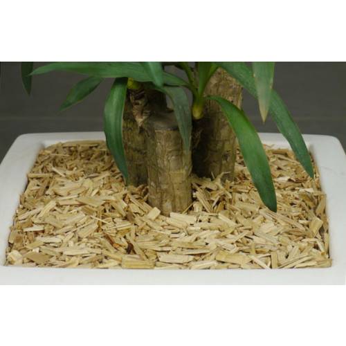 Coloured Wood Shavings - Natural