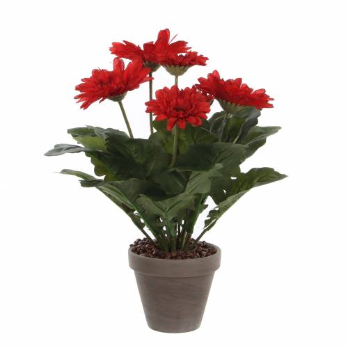 Artificial Plant - Red Gerbera - MICA