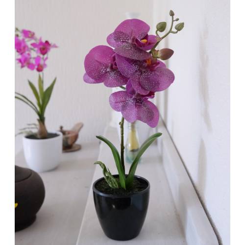 Artificial Plant - Purple Phalaenopsis - MICA