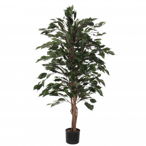 Artificial Plant - Ficus benjamina - MICA