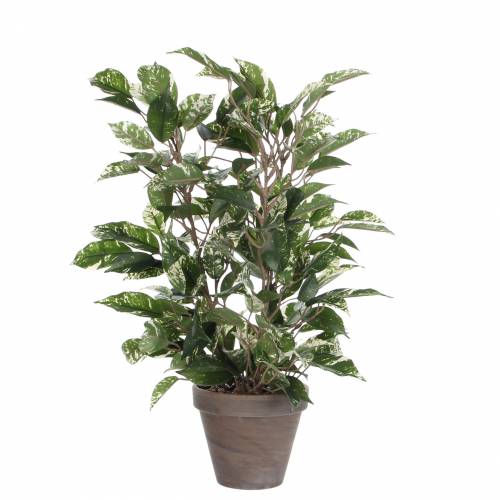 Artificial Plant - Ficus Natasia - MICA