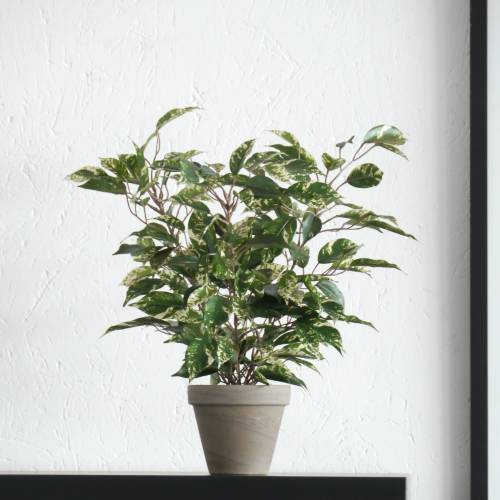 Artificial Plant - Ficus Natasia - MICA