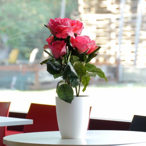 Artificial Plant - Pink Rose - MICA