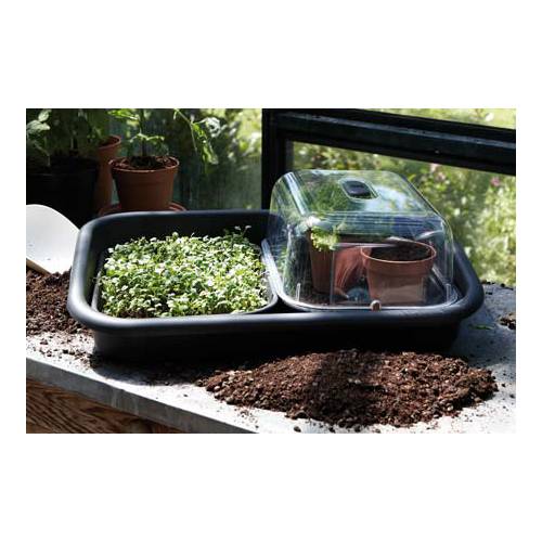 Green Basics Garden Tray - Black - Elho