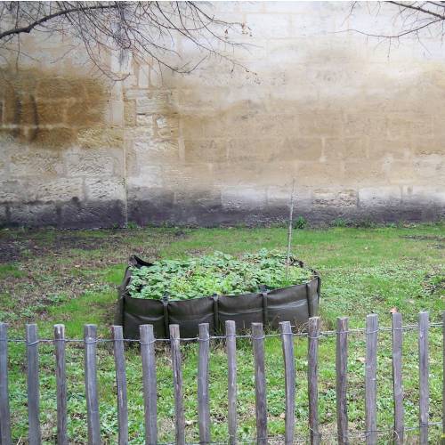 Geotextile Square Vegetable Plot - 550l