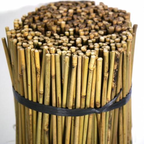 Bamboo stake - 120 cm