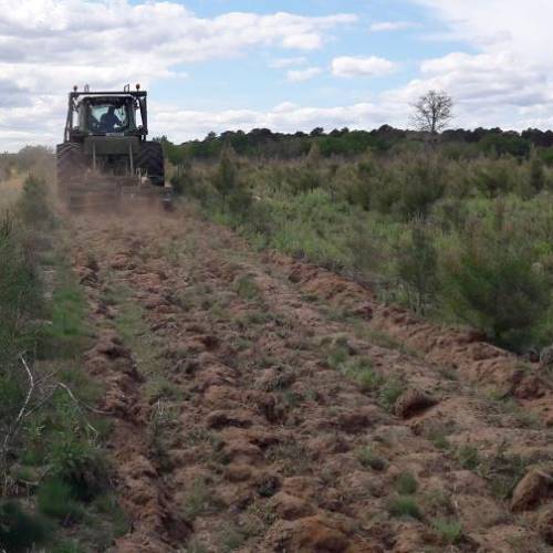 Fertiliser input in forest plantations