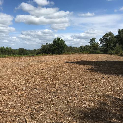 Forest mulching