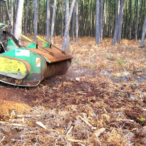 Forest mulching