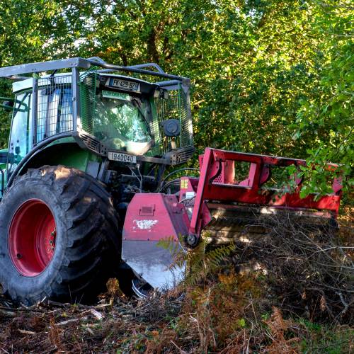 Forest mulching