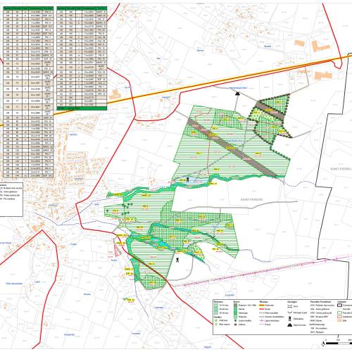 Forest mapping