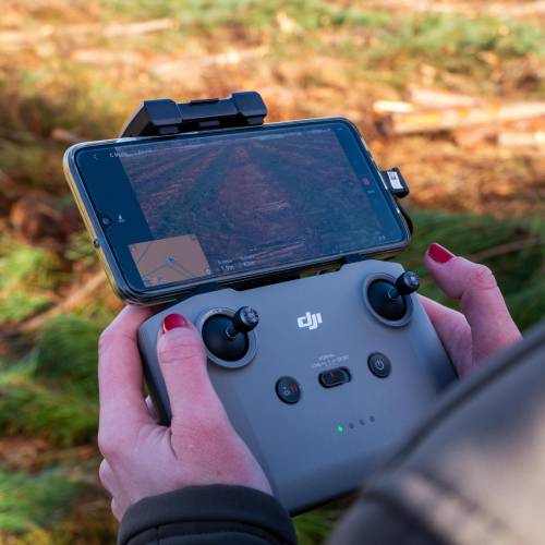 Forest mapping