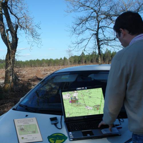 Professional Forest Manager (PFM)