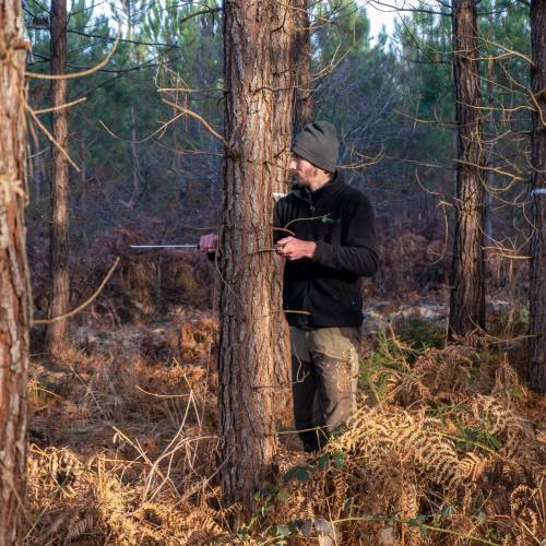 Marking, counting, cubing of trees