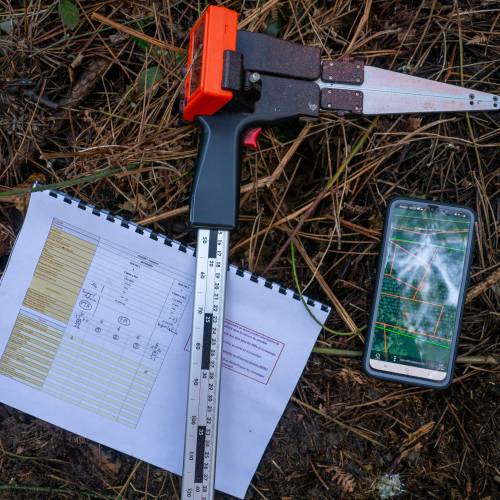 Marking, counting, cubing of trees