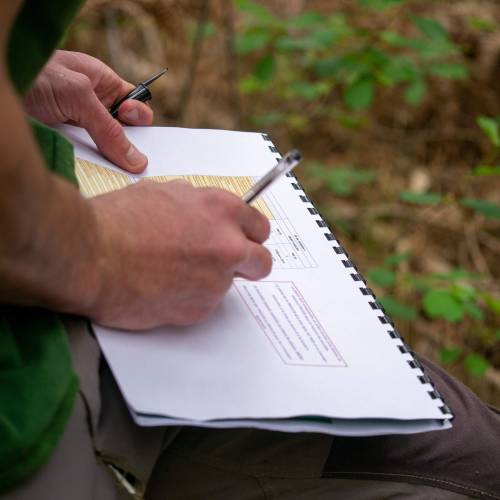 Marking, counting, cubing of trees