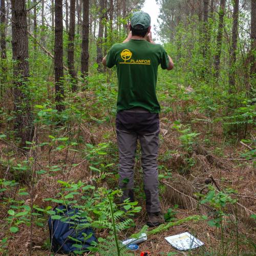 Marking, counting, cubing of trees