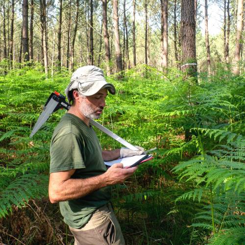 Marking, counting, cubing of trees