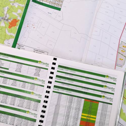 Simple Management Plan (SMP)