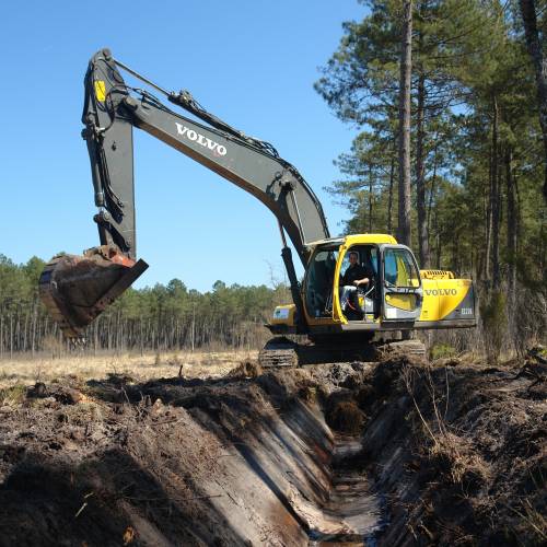 Forest work with excavator
