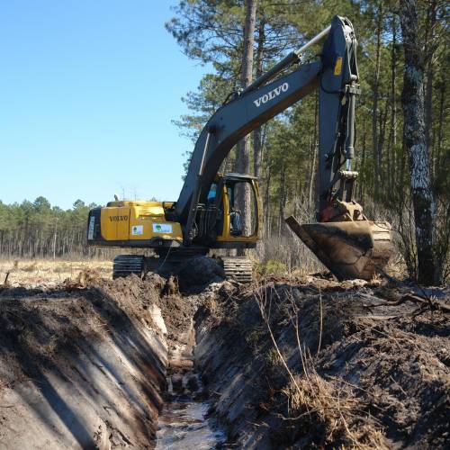 Forest work with excavator