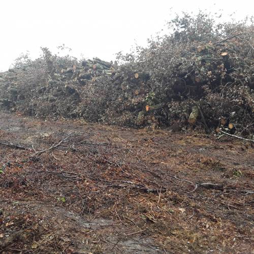 Selling wood by bidding process