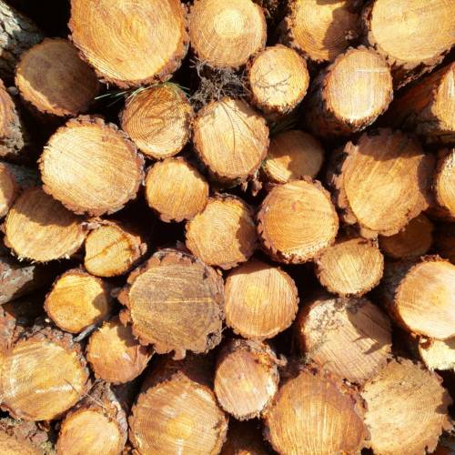 Selling wood by bidding process