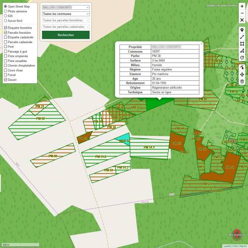 Contract to monitor a forest estate