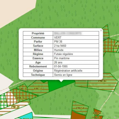 Contract to monitor a forest estate