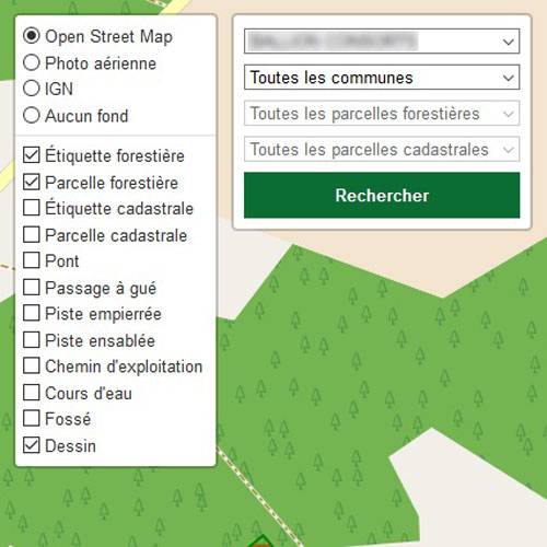 Contract to monitor a forest estate