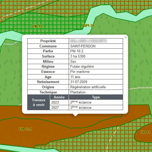 Contract to monitor a forest estate